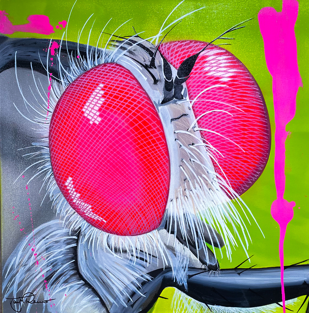 Tanja Reuer "Crazy fly with pink eyes"
